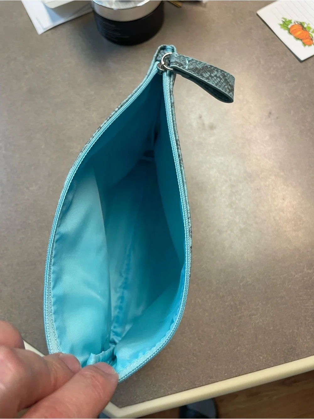 Snake-Print Cosmetic Pouch - Teal
